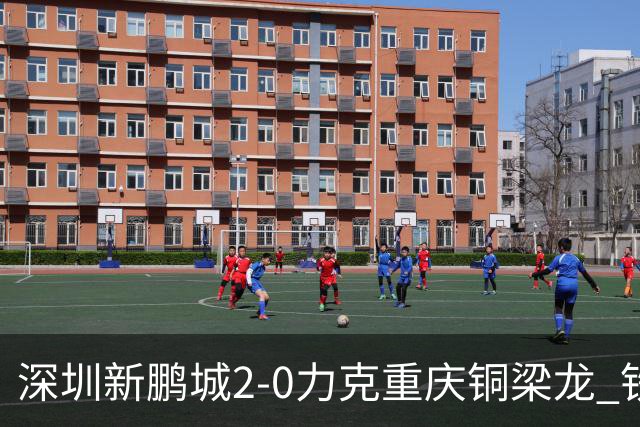 深圳新鹏城2-0力克重庆铜梁龙 铁血精神共筑主场胜利